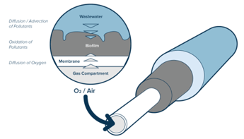 Membranes